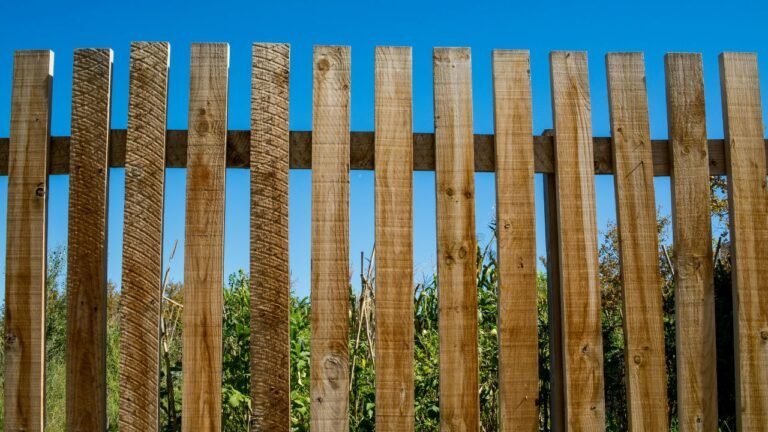 Límites conscientes