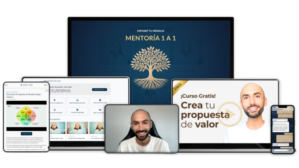 mentoria 1 a 1
